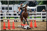 4H-District-17-0103.jpg