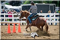 4H-District-17-0113.jpg