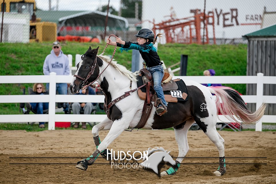 4H-District-17-0139.jpg