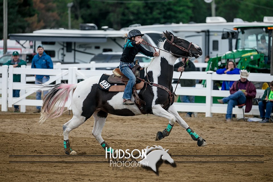 4H-District-17-0150.jpg