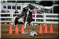 4H-District-17-0145.jpg