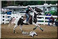 4H-District-17-0150.jpg