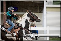 4H-District-17-0153.jpg