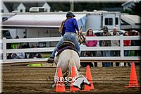 4H-District-17-0233.jpg