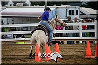 4H-District-17-0234.jpg