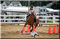 4H-District-17-0245.jpg