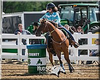 4H-District-17-0284.jpg