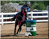 4H-District-17-0301.jpg