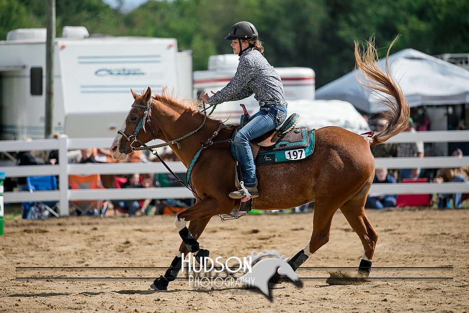 4H-District-17-0343.jpg