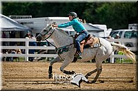 4H-District-17-0316.jpg