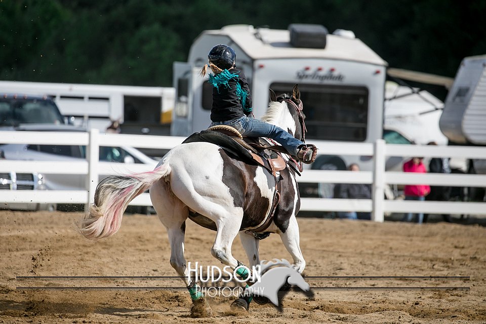 4H-District-17-0393.jpg