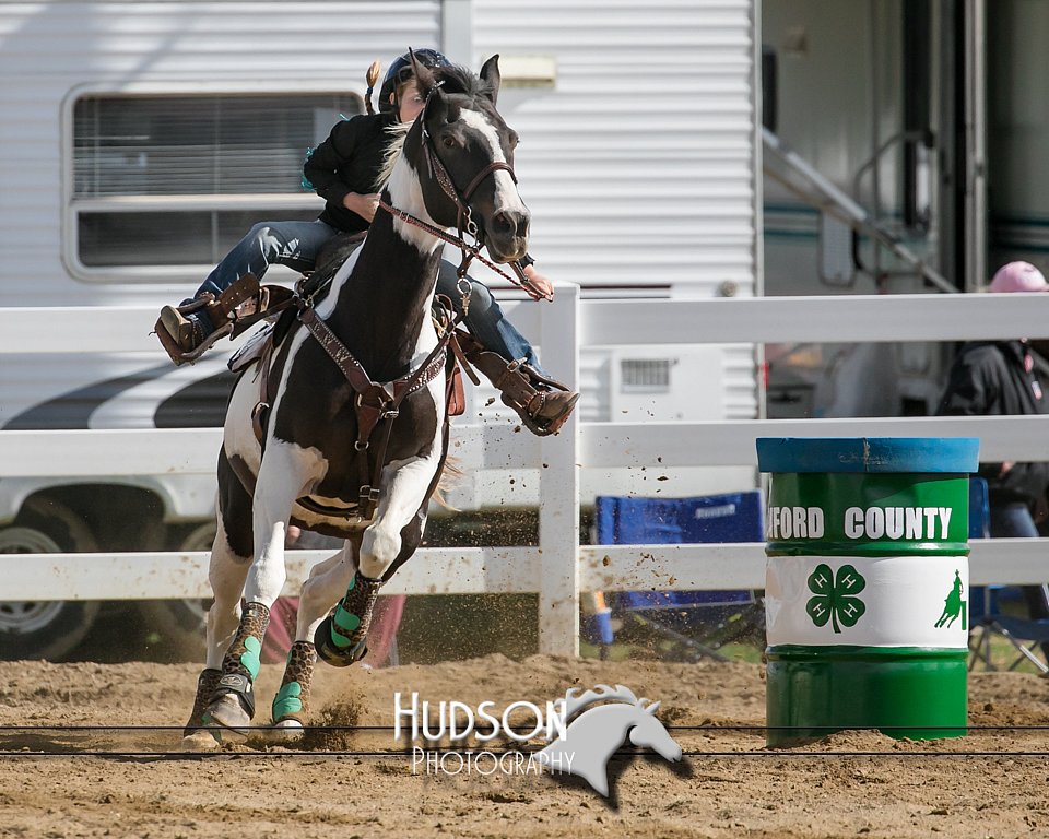 4H-District-17-0395.jpg