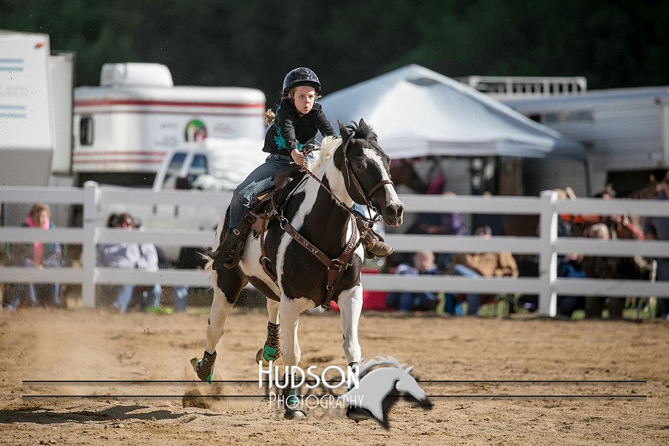 4H-District-17-0398.jpg