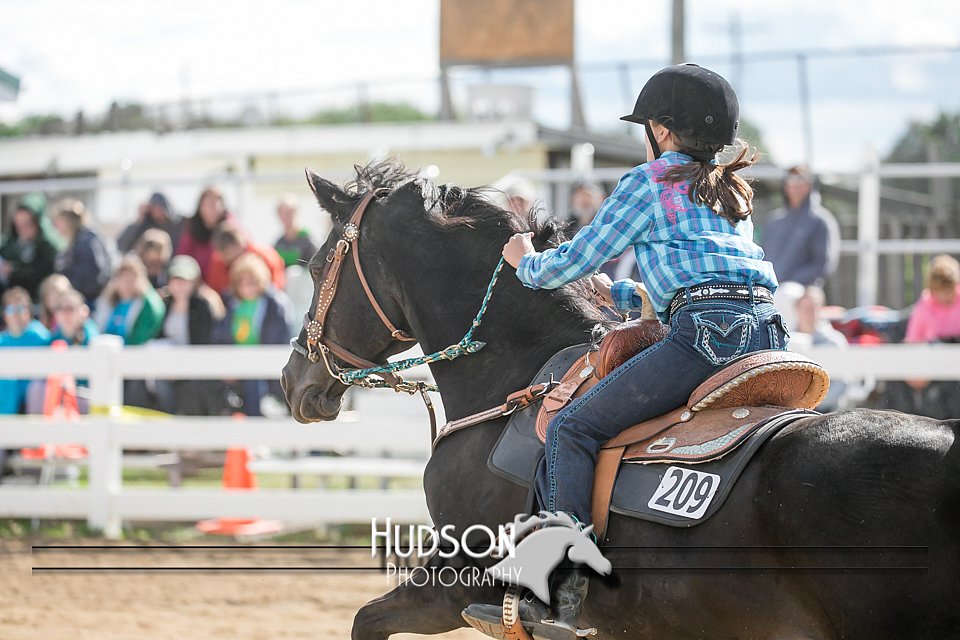 4H-District-17-0403.jpg