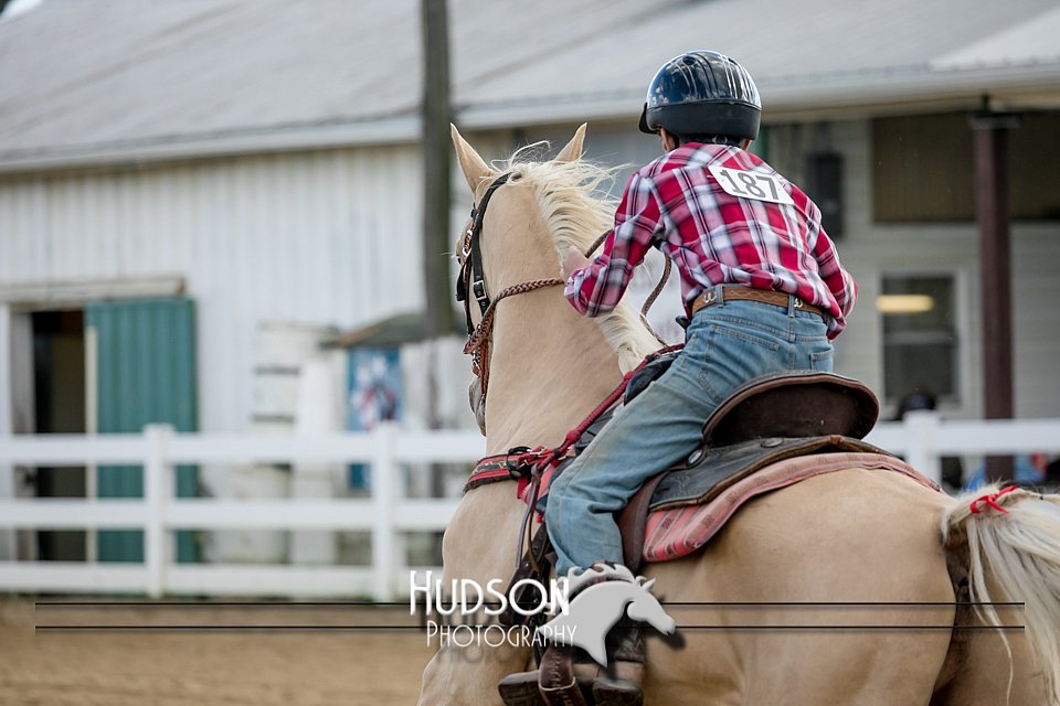 4H-District-17-0428.jpg