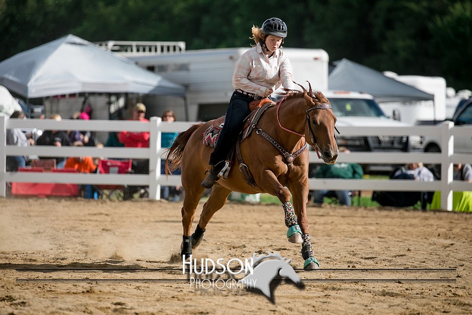4H-District-17-0508.jpg