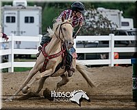 4H-District-17-0433.jpg