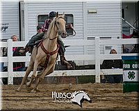 4H-District-17-0438.jpg