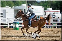 4H-District-17-0453.jpg