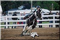 4H-District-17-0650.jpg