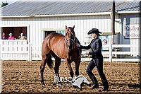 4H-District-17-1078.jpg