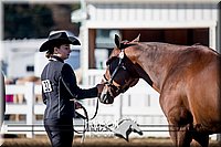 4H-District-17-1079.jpg