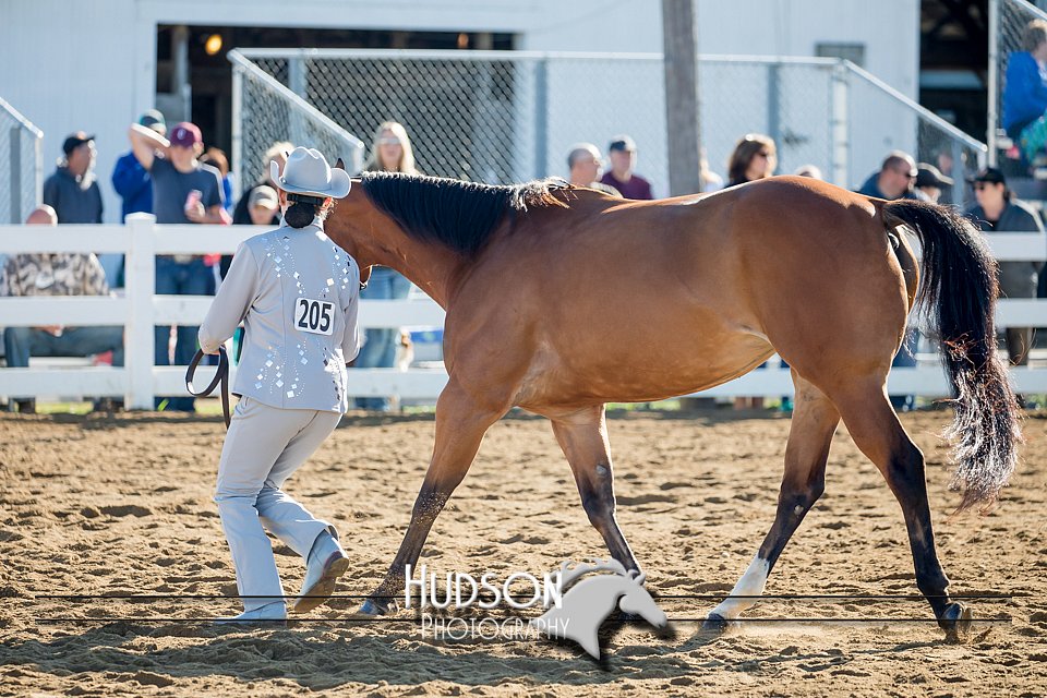 4H-District-17-1091.jpg