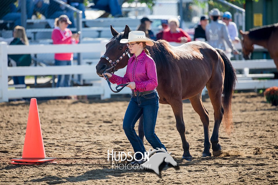 4H-District-17-1115.jpg