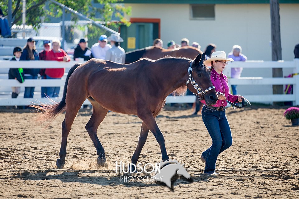 4H-District-17-1116.jpg