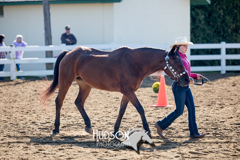 4H-District-17-1118.jpg