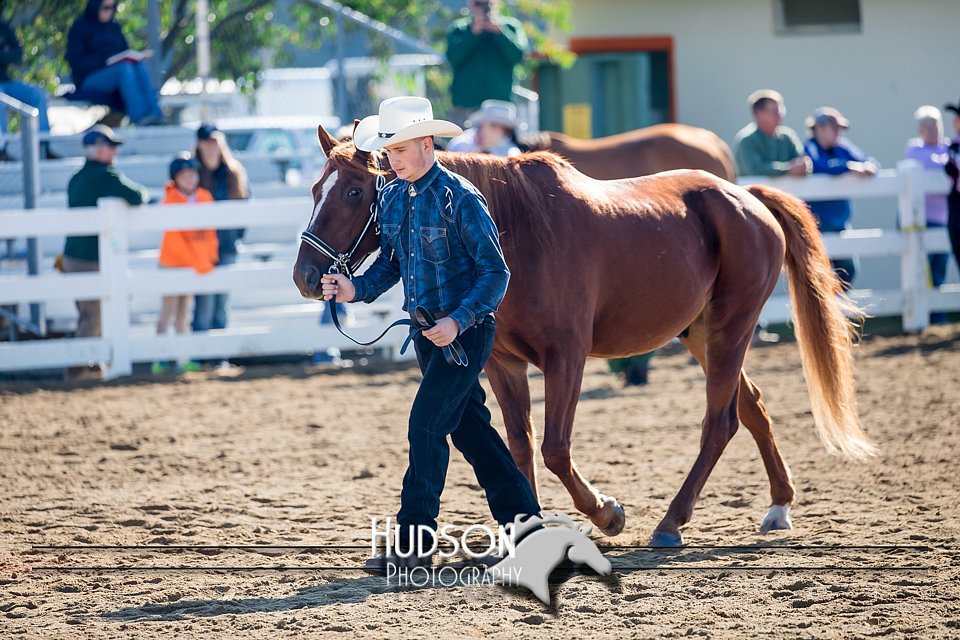 4H-District-17-1123.jpg