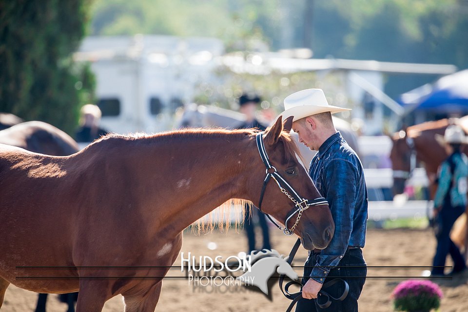 4H-District-17-1126.jpg