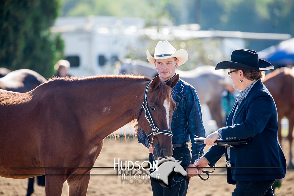 4H-District-17-1127.jpg