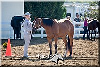 4H-District-17-1085.jpg