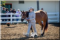 4H-District-17-1088.jpg