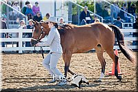 4H-District-17-1090.jpg