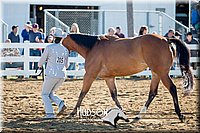 4H-District-17-1091.jpg