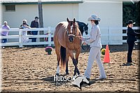 4H-District-17-1100.jpg