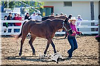 4H-District-17-1116.jpg