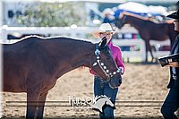 4H-District-17-1120.jpg