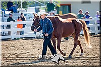 4H-District-17-1123.jpg