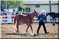 4H-District-17-1124.jpg