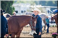 4H-District-17-1128.jpg