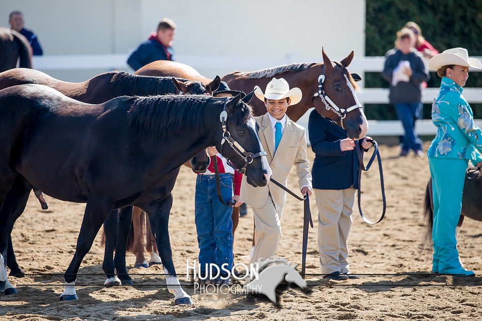 4H-District-17-1170.jpg