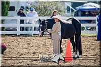 4H-District-17-1139.jpg