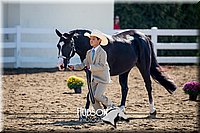 4H-District-17-1141.jpg