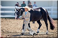 4H-District-17-1143.jpg