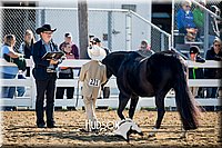 4H-District-17-1146.jpg