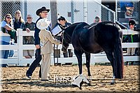 4H-District-17-1147.jpg