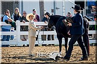 4H-District-17-1148.jpg